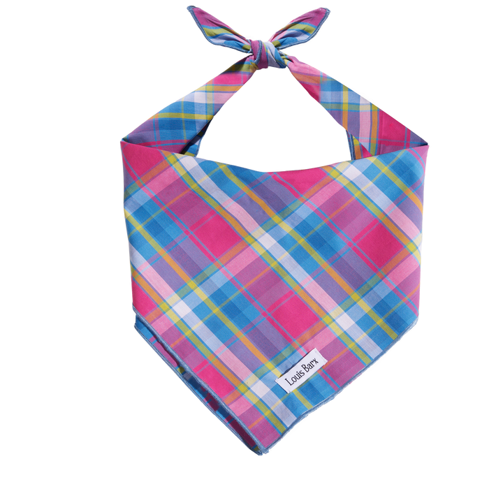 Colorful Plaid Bandana