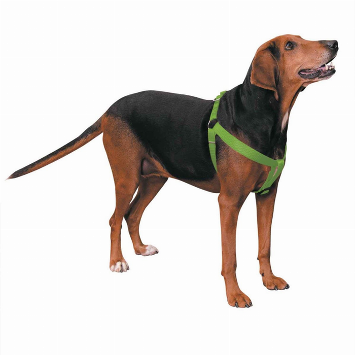 CC Nylon 2 Step Harness 15-25In Grn
