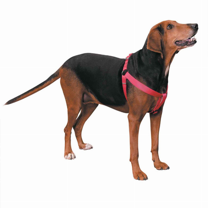 CC Nylon 2 Step Harness 15-25In Pnk