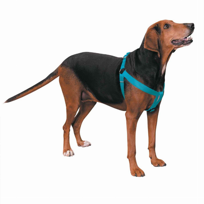 CC Nylon 2 Step Harness 25-40In Blu