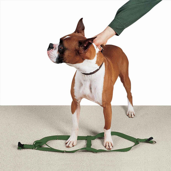 CC Nylon 2 Step Harness 25-40In Grn