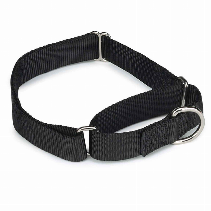 GG Nylon Martingale Collar 10-16In Blk