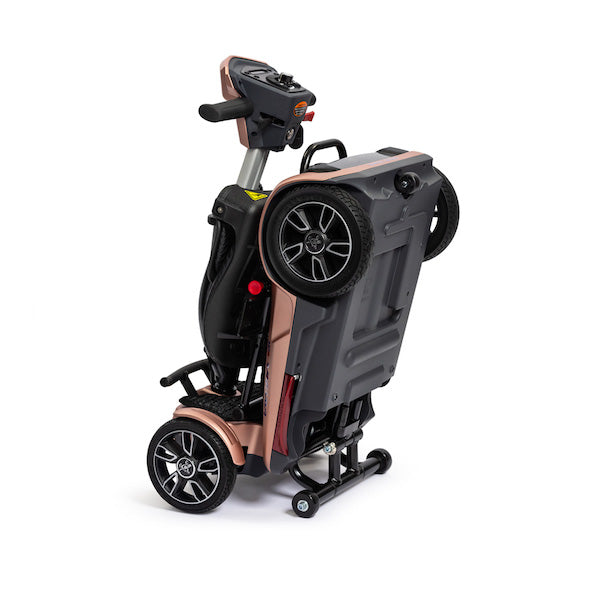 EV Rider Transport 4M