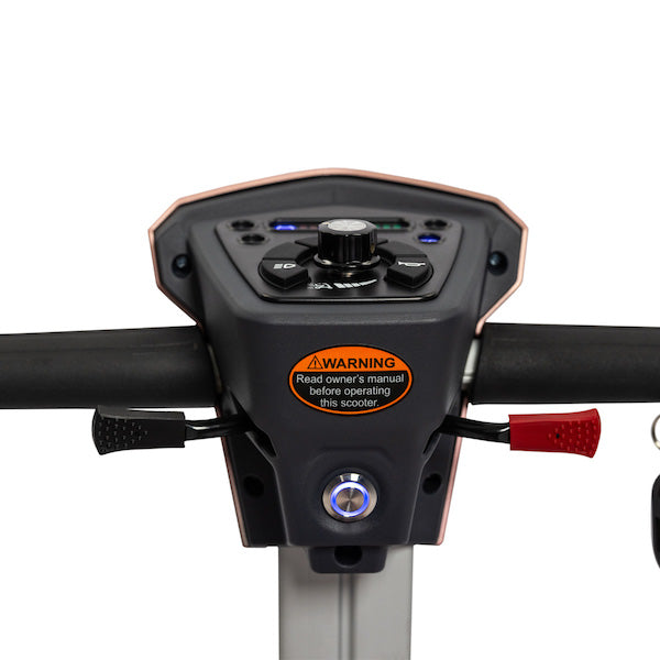 EV Rider Transport 4M
