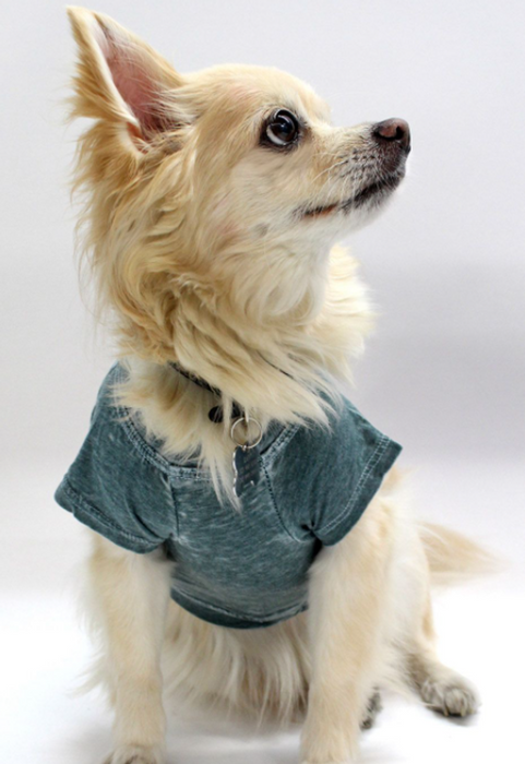 Doggy Tee